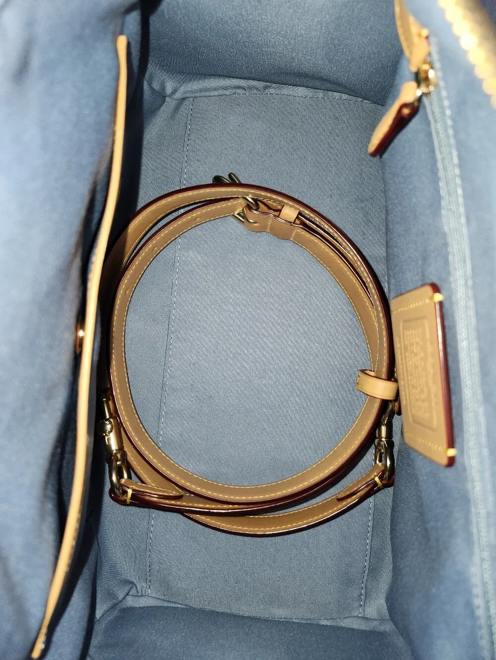 COACH Rowan Large Satchel Bag in Signature Canvas